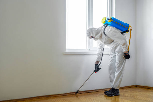 Best Flea Control Services  in Wellford, SC