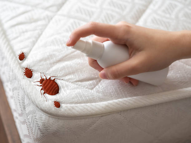 Best Pest Removal Services  in Wellford, SC