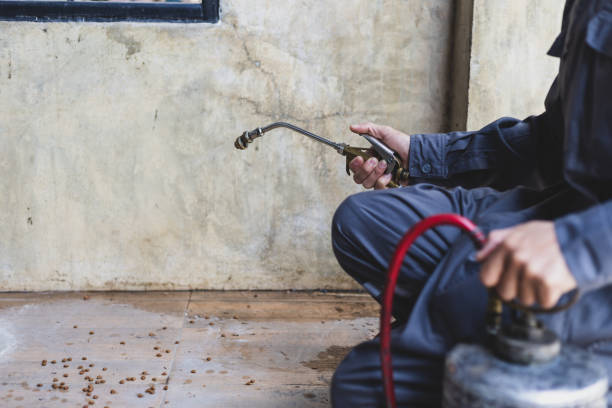 Best Emergency Pest Control  in Wellford, SC