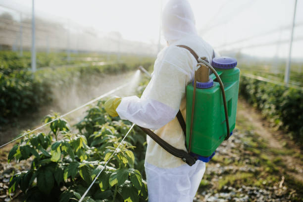 Trusted Wellford, SC Pest Control Experts